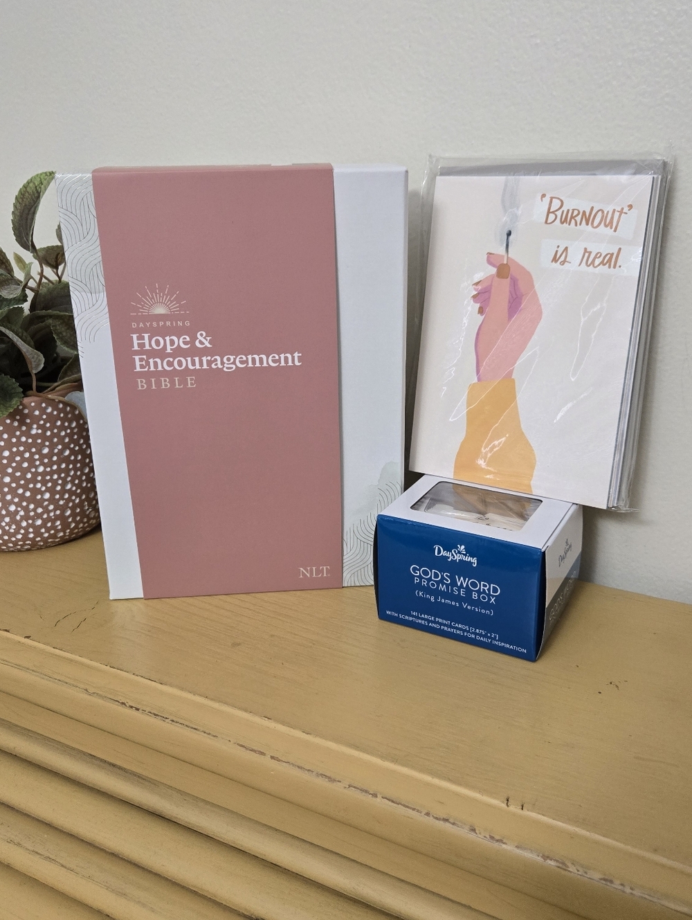 DaySpring Bible Bundle Including 8 Pack Of Cards & Promise Box Of 141 Cards. New